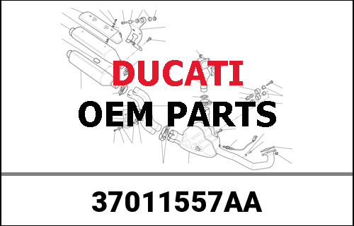 Ducati Genuine REAR SWINGING ARM | 37011557AA