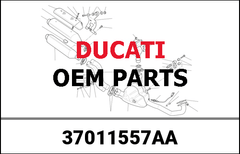 duc_37011557AA