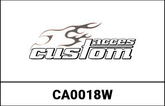 Custom Acces America II Windscreen, Clear | CA0018W