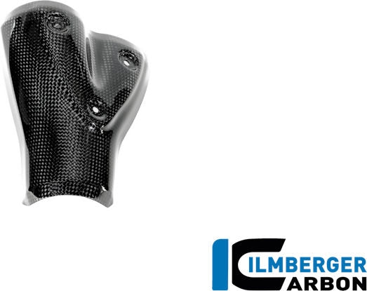 Exhaust Heat Shield Carbon Glossy