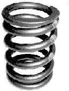 Hornig Valve spring | 1134176