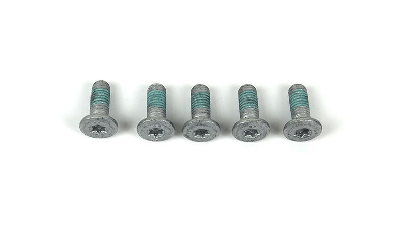 Hornig / ホーニグ ピン 5x screws M8x20 for BMW R1150RS | 34212331028