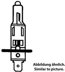 Hornig Bulb H1 12V/55W | 63-211-009