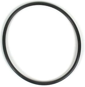 Hornig Oil filter O-ring | 7654013