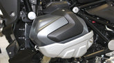 Hornig / ホーニグ ピン Engine cover for BMW R1250GS | PH5128