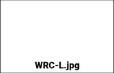 AIROH head cushion Wraap, Mimetic, Size 2XL | WRC