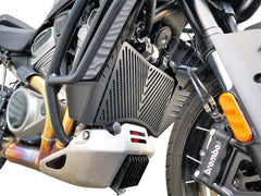 Radiator Guard Grill