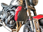 Radiator Guard Grill