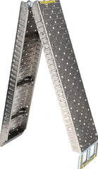 RAMPA, SILVER