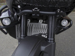 AltRider Radiator Guard for the Harley-Davidson Pan America 1250 - Silver | HD21-1-1102