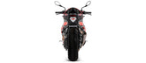 FULL TITANIUM FULL SYSTEM WITH PRO-RACE SILENCER WITH CARBON END CAP