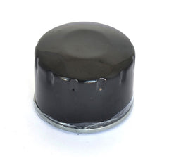 ATHENA OIL FILTER BMW | FFP024