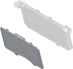 Radiator Protection Grid - F450GS
