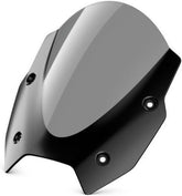 Tinted Screen Special Coating - R1300RS