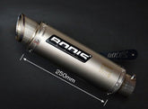 Bodis GP1-R, Slip-On, Full-Titan for BMW S1000RR (2009-2014) | BS1000RR-002