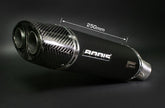 Bodis OVAL Q1, Slip-On, Stainless Steel Black for TRIUMPH Daytona 675 (2006-2012) | TDAY-007