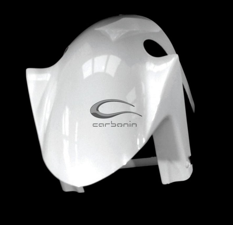 Carbonin Front Mudguard For Aprilia RSV4 | A4010AF