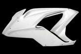 Carbonin Left Side Panel (Oem Radiator) For BMW S 1000 RR | B3231AF