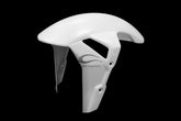 Carbonin Front Mudguard For BMW S 1000 RR | B4010AF