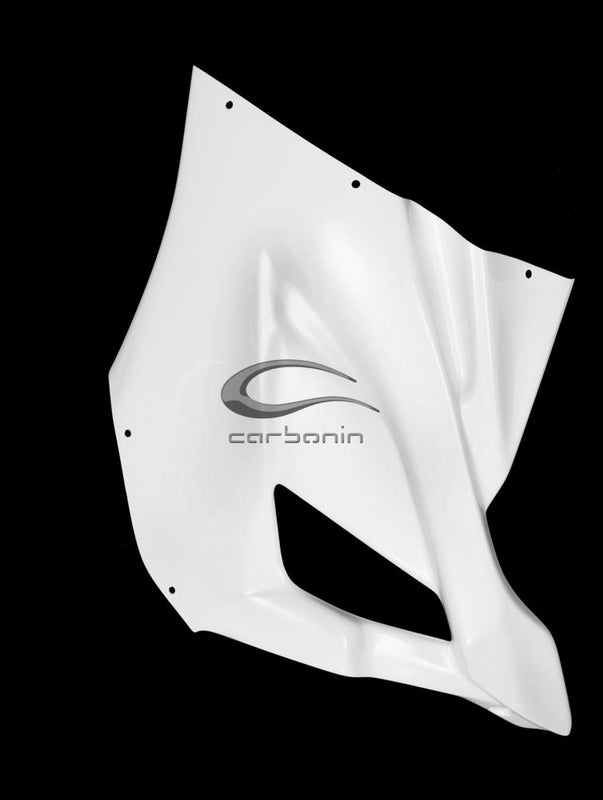 Carbonin Left Side Panel For BMW S 1000 RR | B4231AF
