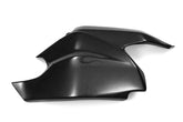 Carbonin Swingarm Protector For Ducati 1199 Panigale | CD4056