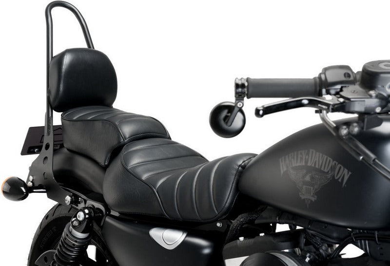 Custom Acces Sissybar Speed Model, Black | RQM001N