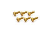 Screw kit steering head cover