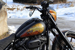 Cult-Werk HARLEY LOW RIDER S - DASH COVER (FROM 2018) | HD-BRO121