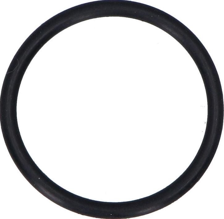 Ducati Genuine O-RING | 34913671A