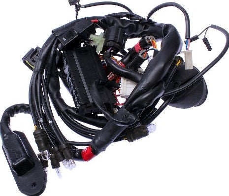 Ducati Genuine WIRING | 51011711A