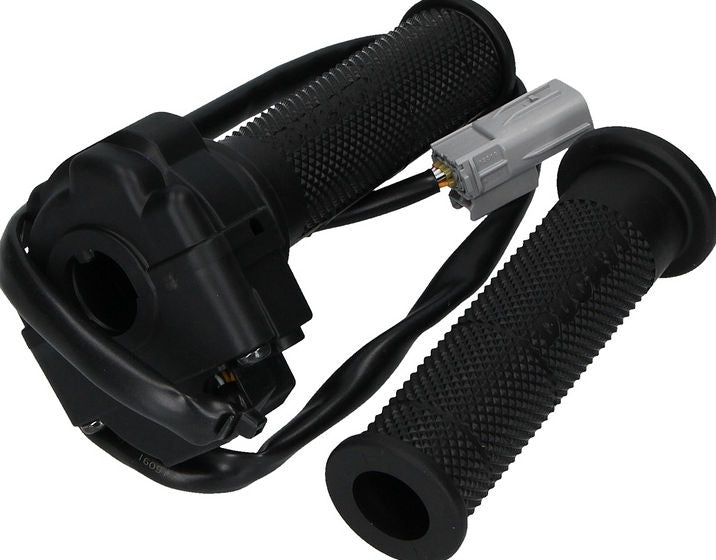 Ducati Genuine THROTTLE CONTROL | 66020141A