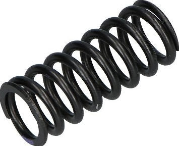 Ducati Genuine SPRING | 79710531B