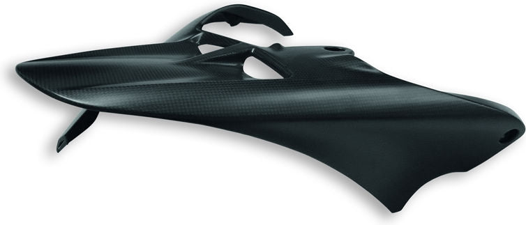 Ducati Accessories Carbon Rear Mudguard Polished | 96980821AB