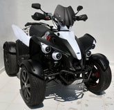 Ermax nose screen sport QUAD ermax for 500 TARGET STREET 2011 light black | 031403S02