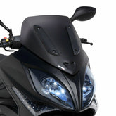Ermax windshield sport (48 cm ) ermax for X CITING 300 ir/500 RI 2008-2014 light black | 034103011