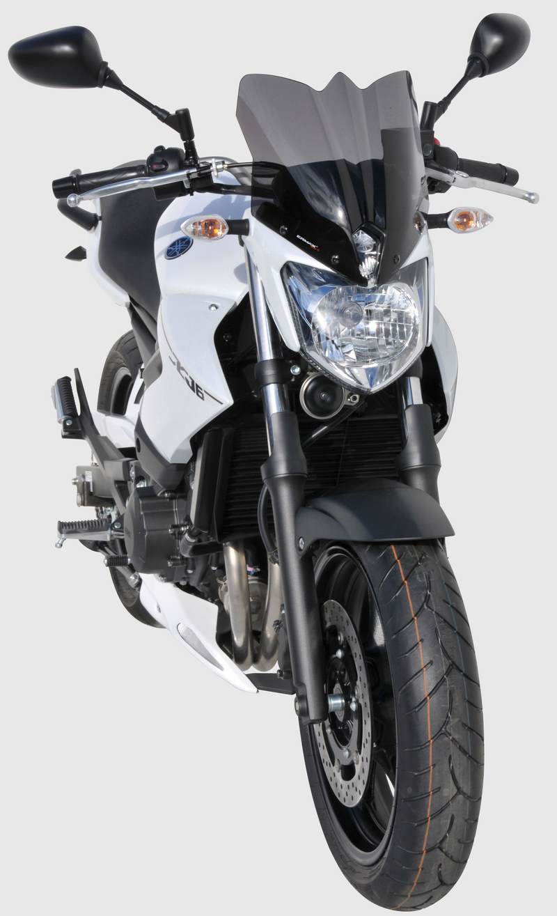 Ermax nose screen (30 cm ) ermax for XJ 6 N 2013-2016 clear | 060201114