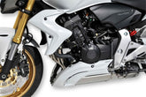 ERMAX Radiator Air Scoops (Pair) Ermax For Cb 600 Hornet F 2011-2013 | 7601BL098
