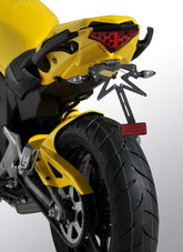 Ermax plate holder ermax for ER 6 N/F 2012/2016 / NINJA 650 R unpainted | 790300082