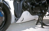 ERMAX Belly Pan Ermax For Fzs 600 Fazer 1998-2001 | 8902BL046