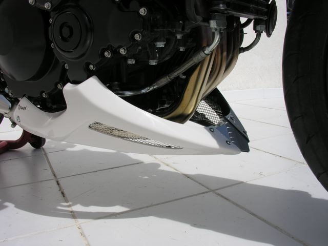 ERMAX Belly Pan Ermax For Speed Triple 1050 2005-2007 | 892107020