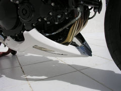 ERMAX Belly Pan Ermax For Speed Triple 1050 2005-2007 | 892107020