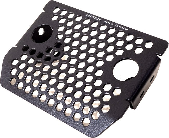 Voltage Regulator Protection