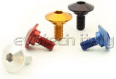 Special Ergal Screw Vs006