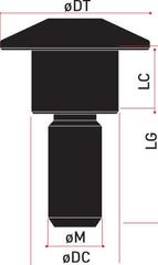 Special Ergal Screw Vs021