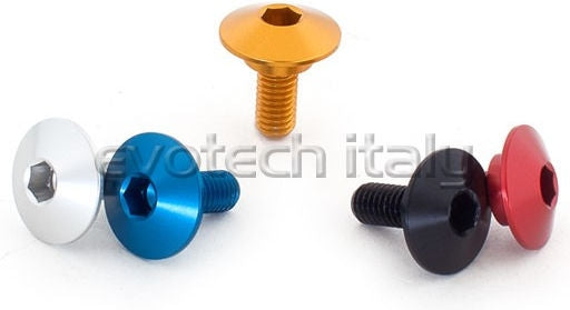 Special Ergal Screw Vs029