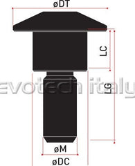 Special Ergal Screw Vs033