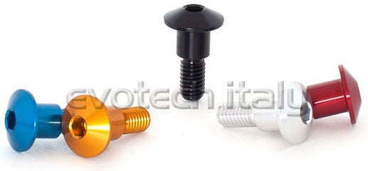 Special Ergal Screw Vs054