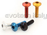 Special Ergal Screw Vs064