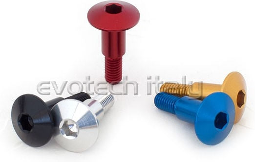 Special Ergal Screw Vs069