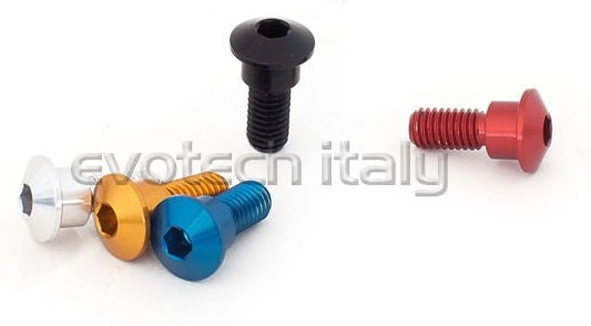 Special Ergal Screw Vs075